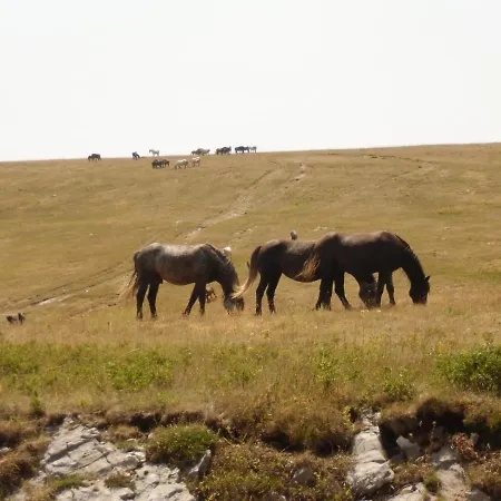 Kaic Lejlighed Livno